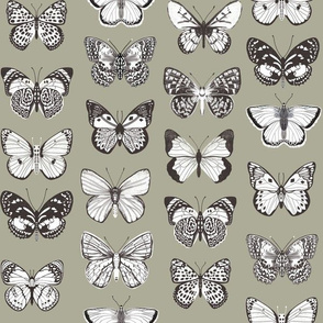 butterflies fabric - baby bedding, baby girl fabric, baby fabric, nursery fabric, butterflies fabric, muted colors fabric, earth toned fabric -  sage sfx0110