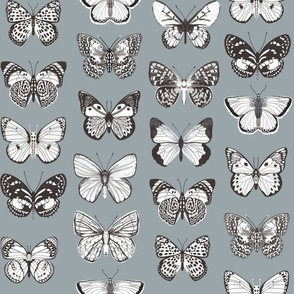 butterflies fabric - baby bedding, baby girl fabric, baby fabric, nursery fabric, butterflies fabric, muted colors fabric, earth toned fabric -  slate sfx4408