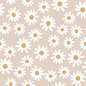 Aesthetic retro daisy flower background in trendy Vector Image
