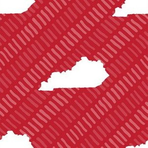 Kentucky State Shape Pattern Red and White Stripes