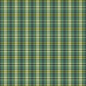 Soothing Celtic Green Plaid - Small Scale