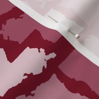Louisiana State Shape Pattern Garnet and White Stripes