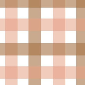 Gingham - Blush Pink and Brown Medium