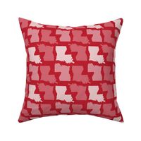 Louisiana State Shape Pattern Red and White