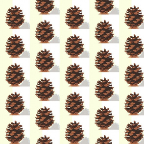 Round Pinecone