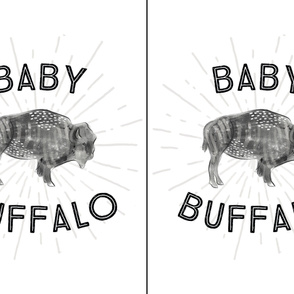 27x36: baby buffalo