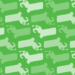 Massachusetts State Shape Pattern Green and White