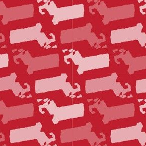Massachusetts State Shape Pattern Red and White