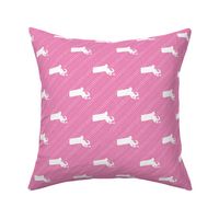 Massachusetts State Shape Pattern Pink and White Stripes