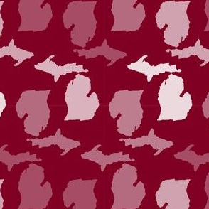 Michigan State Shape Pattern Garnet and White