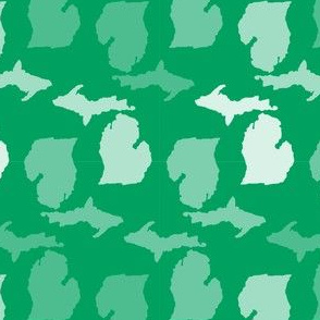 Michigan State Shape Pattern Green and White