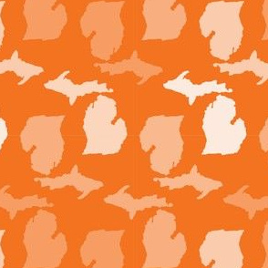 Michigan State Shape Pattern Orange and White