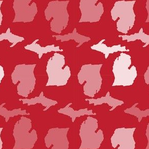 Michigan State Shape Pattern Red and White