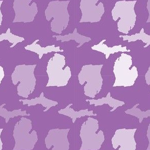 Michigan State Shape Pattern Purple and White