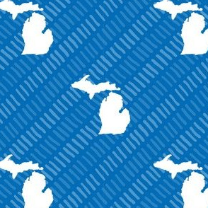 Michigan State Shape Pattern Blue and White Stripes