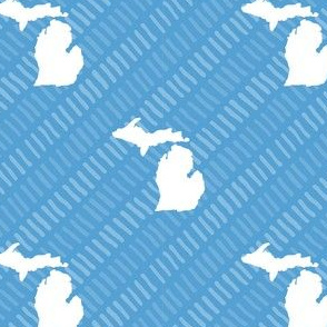 Michigan State Shape Pattern Light Blue and White Stripes