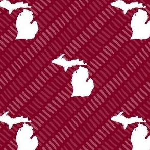Michigan State Shape Pattern Garnet and White Stripes