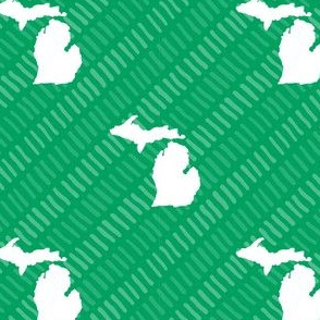 Michigan State Shape Pattern Green and White Stripes