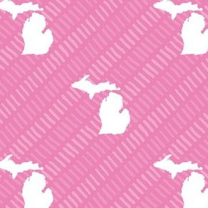 Michigan State Shape Pattern Pink and White Stripes