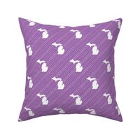 Michigan State Shape Pattern Purple and White Stripes