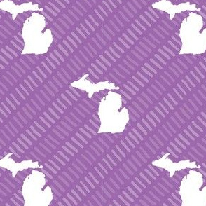 Michigan State Shape Pattern Purple and White Stripes