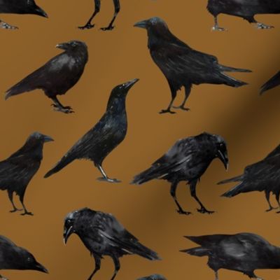 Spooky Black Crows / Copper