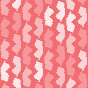 New Jersey State Shape Pattern Coral and White