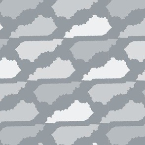 Kentucky State Shape Pattern Grey and White