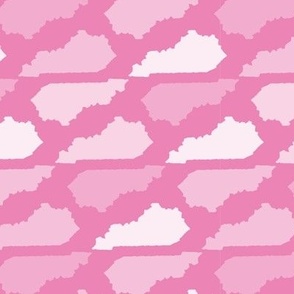 Kentucky State Shape Pattern Pink and White