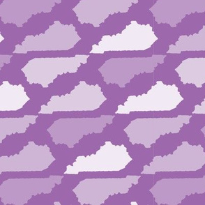 Kentucky State Shape Pattern Purple and White
