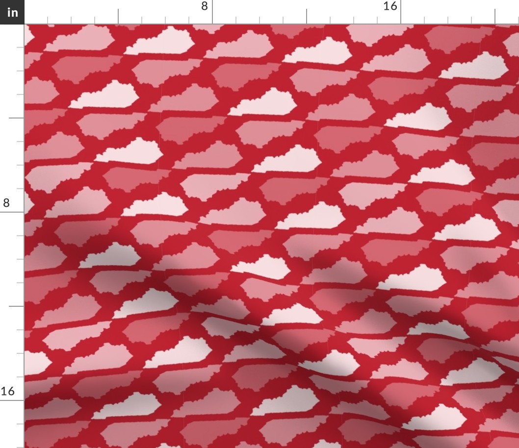 Kentucky State Shape Pattern Red and White 