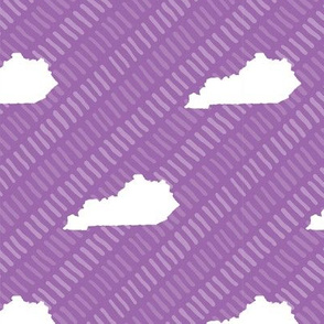 Kentucky State Shape Pattern Purple and White Stripes