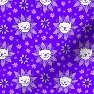 Sunflower Kittens Purple Lavender