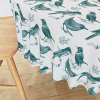 Toile de Jouy Birds Teal on Gray