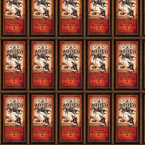 Rodeo Poster