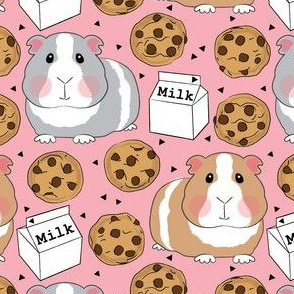 large guinea pigs with milk and cookies