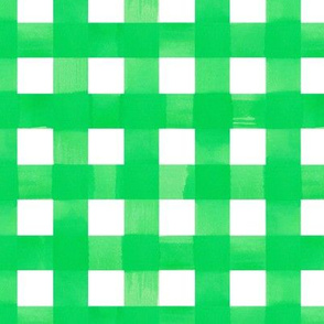 Green gingham watercolour check pattern