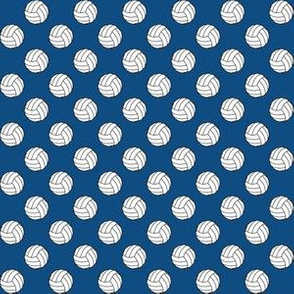 Half Inch Black and White Volleyballs on Classic Blue