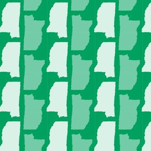 Minnesota State Shape Pattern Green and White