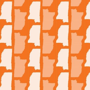 Mississippi State Shape Pattern Orange and White