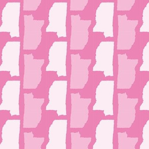 Mississippi State Shape Pattern Pink and White