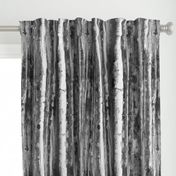 Black and White Birch Forest by kedoki