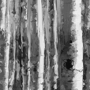 Black and White Birch Forest by kedoki