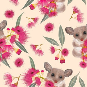 Pygmy Possums & Pink Flowering Gum  Cream