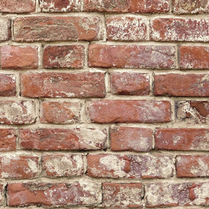 Antique Brick