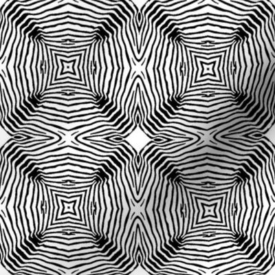 Zebra Vibes in Black and White