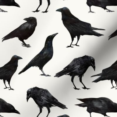 Black Crows 