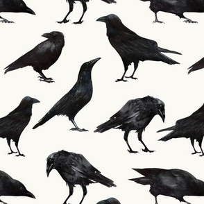 Black Crows 