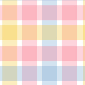 Summer Gingham