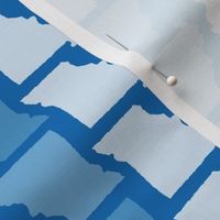 Missouri State Shape Pattern Blue and White